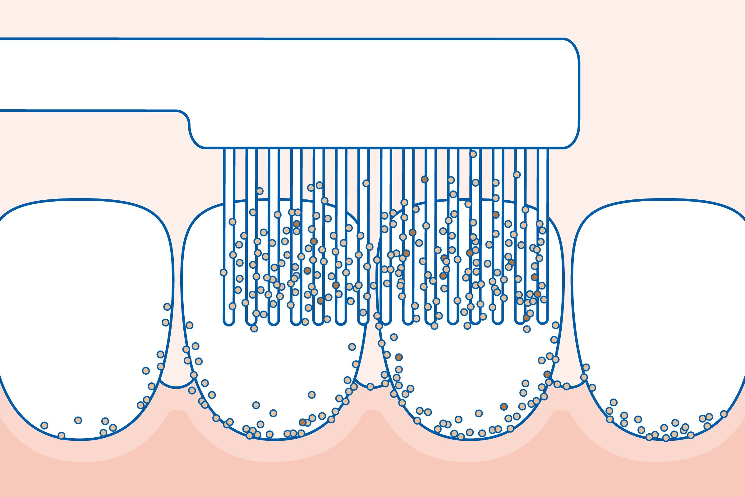 rossz lehellet rossz lehellet