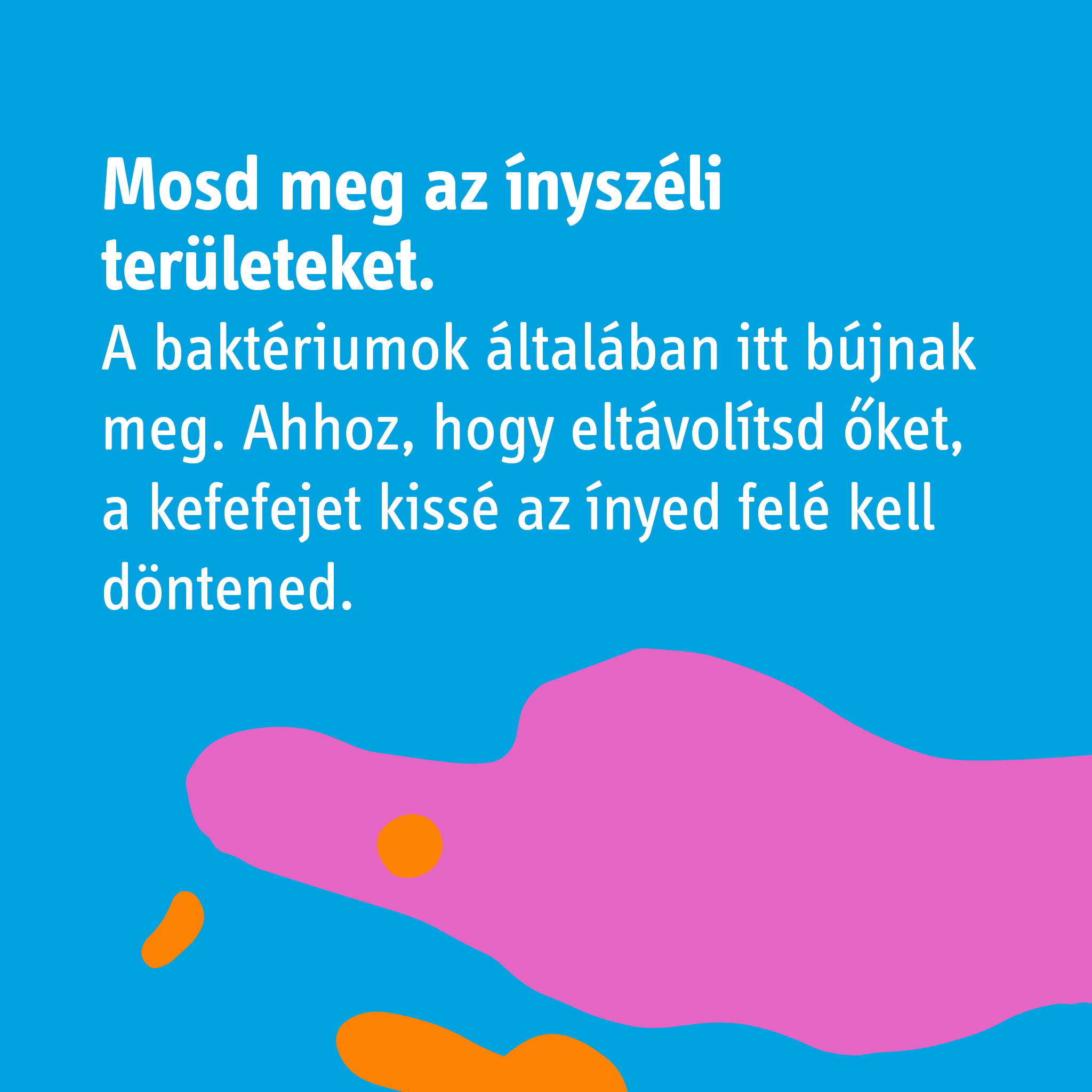 FB_0328-4.png FB_0328-4.png