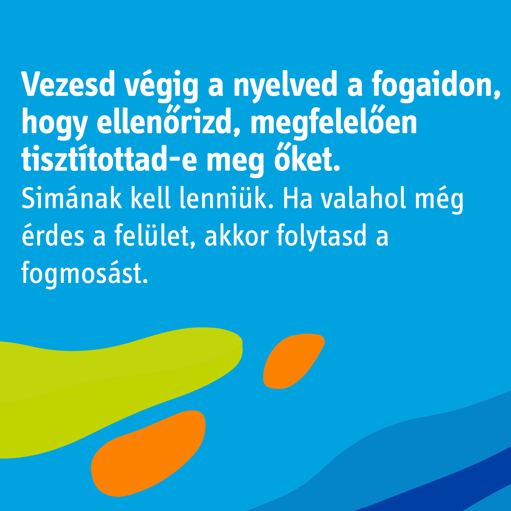 FB_0328-6.png FB_0328-6.png