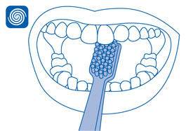 CURAPROX fogkefe használat CURAPROX fogkefe használat