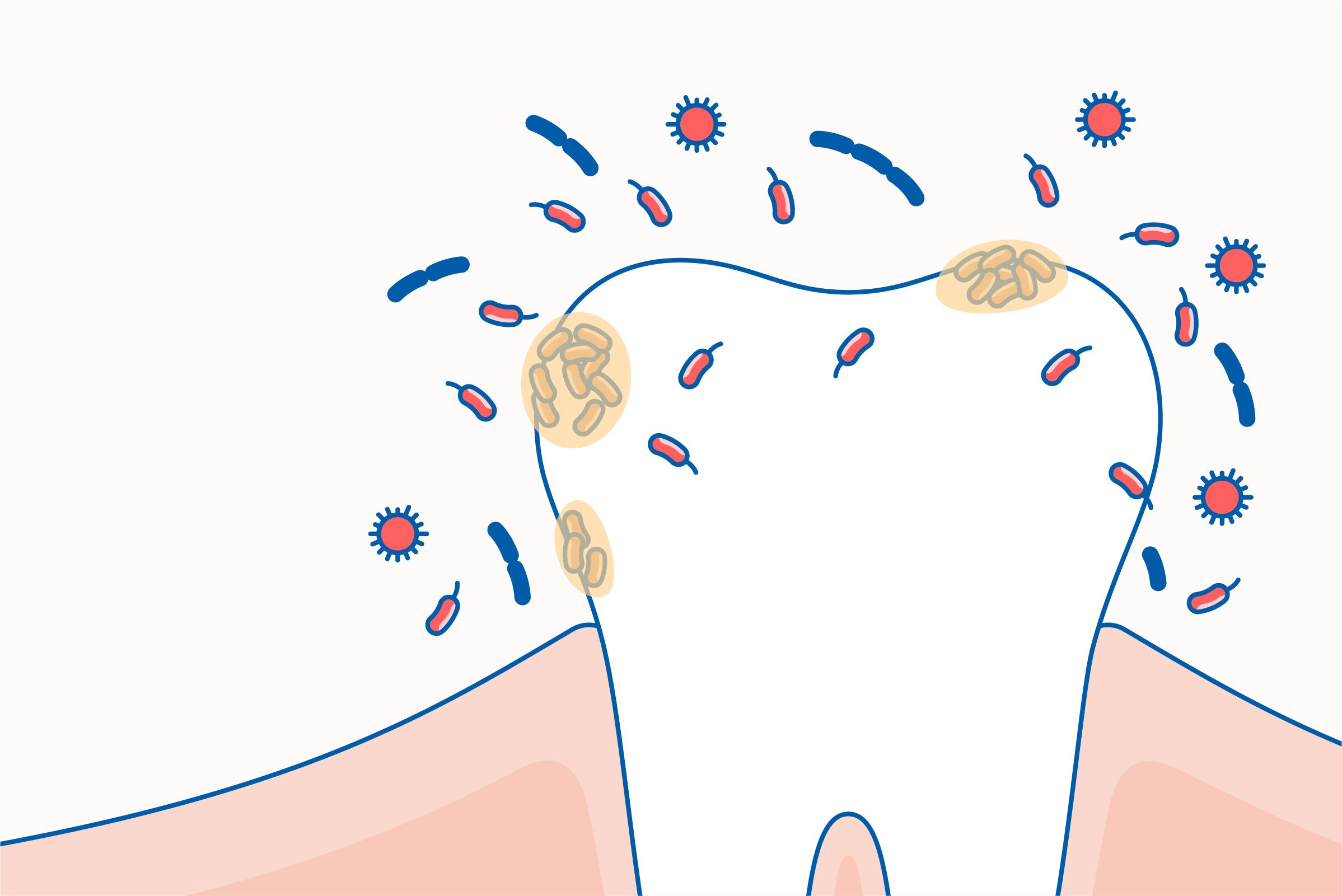 rossz lehellet rossz lehellet